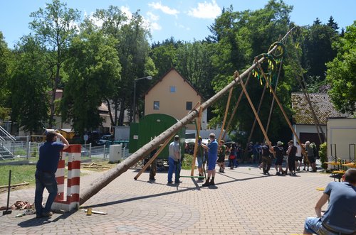 20150725-135830.JPG